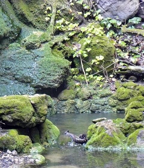 microestil
